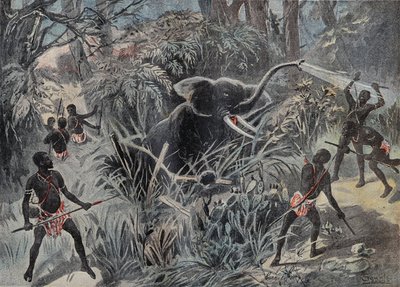 Chasse à l