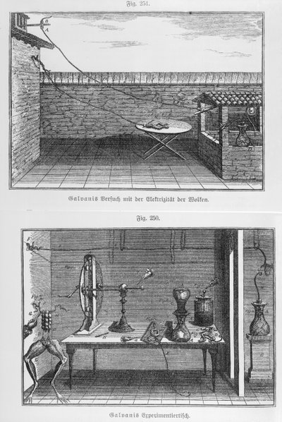 Expérience sur des grenouilles par Louis Galvani (1737-98) fin du 18e siècle - French School