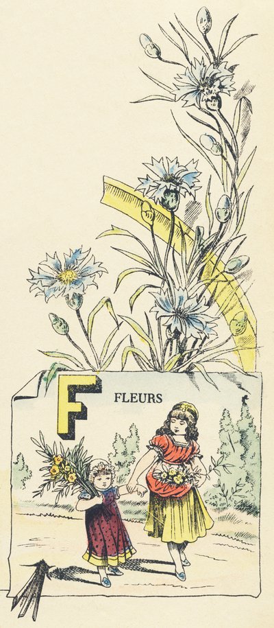 Fleurs - French School
