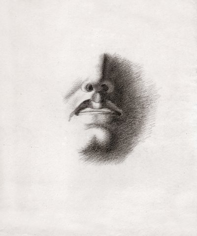 Visage d