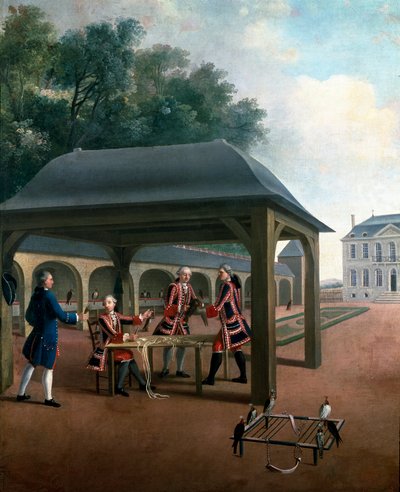 Fauconnerie : élevage de faucons pour la chasse - French School