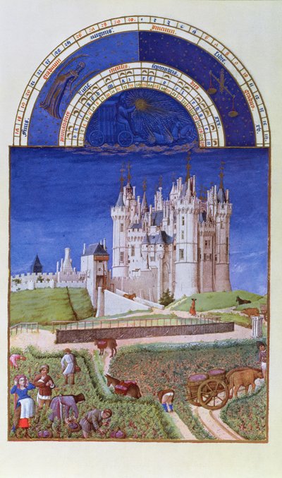 Fac-similé de septembre : vendange par les frères Limbourg, du Très Riches Heures du Duc de Berry - French School