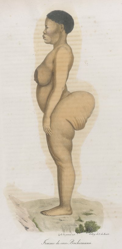 Femme de race Bochismann. Cette planche est apparemment une image de Sara (Saartjie) Baartman (1789-1815) qui était une Khoisan amenée d