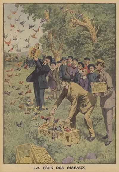 Festival des oiseaux en Belgique - French School