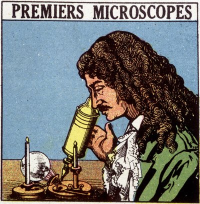 Premiers microscopes : Huygens - French School