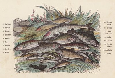 Poisson - French School