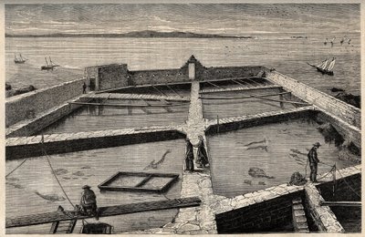 Pisciculture à Concarneau - Bretagne - Établissement de pisciculture - Concarneau - Finistère - Bretagne - gravure dans "PATRIE" - DESCRIPTION PICTURESQUE DE LA FRANCE EN 6 VOLUMES PAR LUCIEN HUARD - fin XIXe siècle - French School