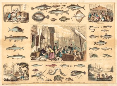 Poissons - French School