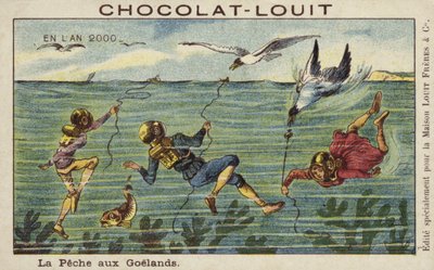 Pêche aux mouettes en l