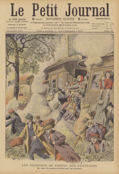 Incendies de forêts aux États-Unis (lithographie couleur) - French School
