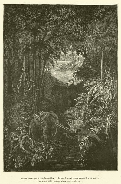 Forets sauvages et impenetrables..... le lourd mastodonte ecrasait sous ses pas les fleurs deja ecloses dans les clairieres - French School