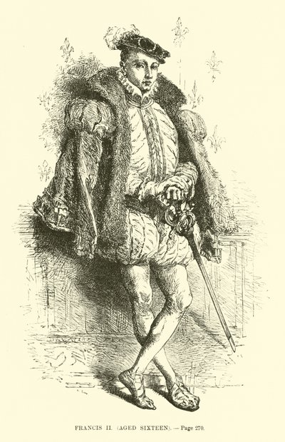 François II, âgé de seize ans - French School