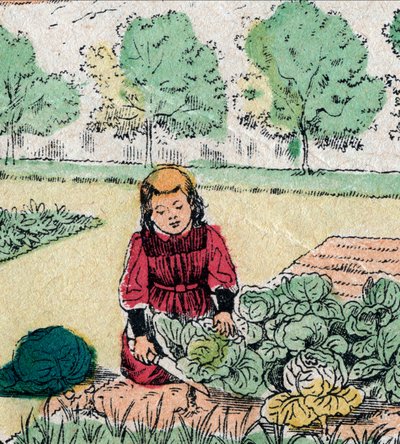 Croyance française : Une petite fille, croyant que les bébés naissent dans les choux ou les roses, coupe les pousses d