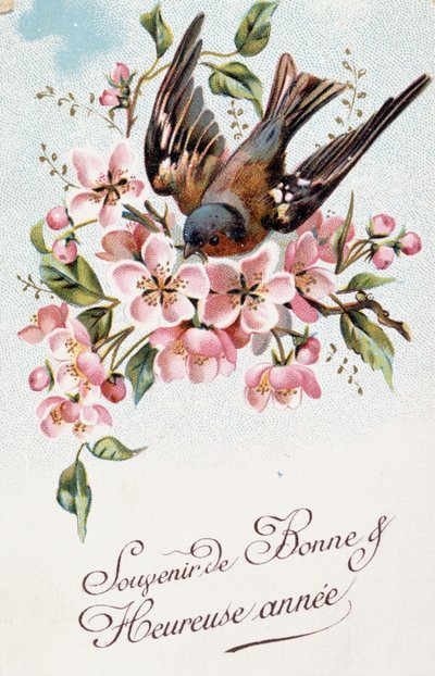 Carte postale française de nouvel an représentant des fleurs et un oiseau - French School