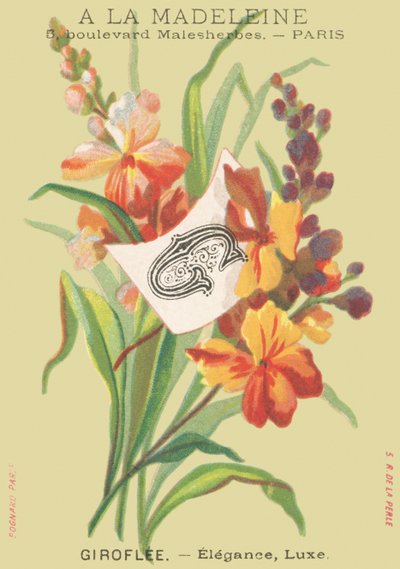 Giroflée - Élégance, Luxe - French School