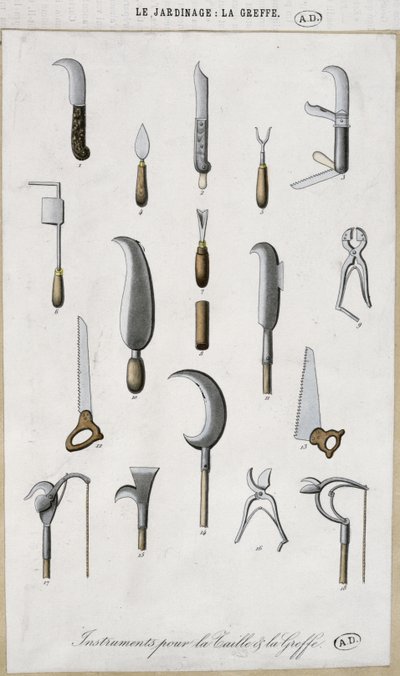 Outils de jardinage pour greffer et tailler - French School