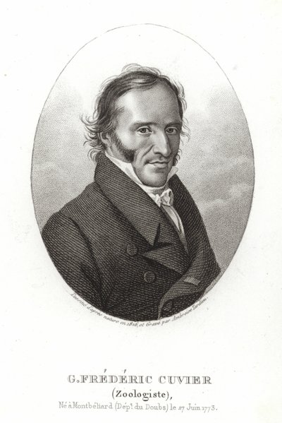 George Cuvier - French School