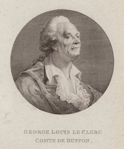 Georges-Louis Leclerc, Comte de Buffon, naturaliste français - French School