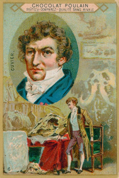 Georges Cuvier - French School
