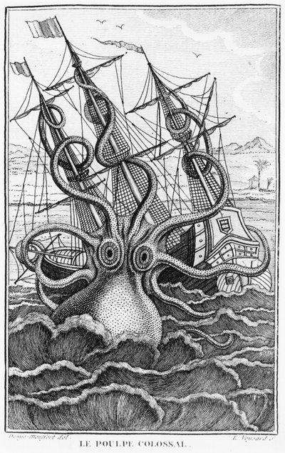 Poulpe géant, illustration de L