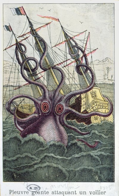 Poulpe géant, illustration de L