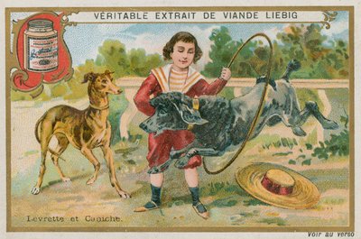 Lévrier et Caniche - French School
