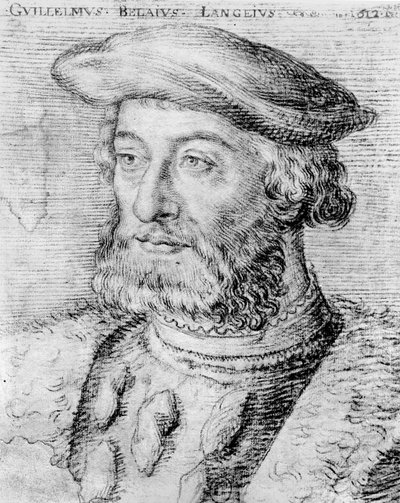 Guillaume du Bellay (gravure) - French School