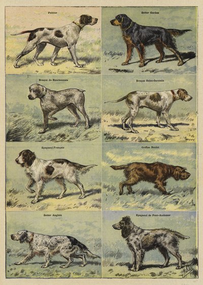 Chiens de chasse - French School