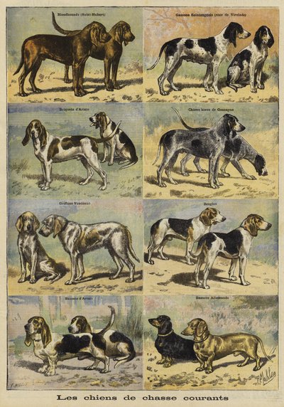 Chiens de chasse - French School