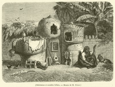 Habitation et meubles fellahs - French School
