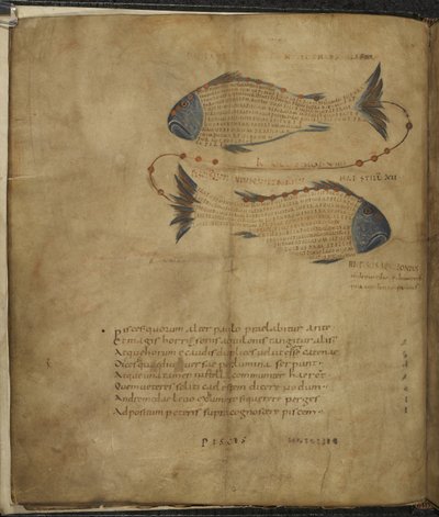 Illustration de la Constellation des Poissons, de 