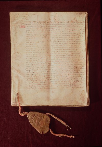 Henri IV, par la grâce de Dieu, roi de France et de Navarre, première page de 