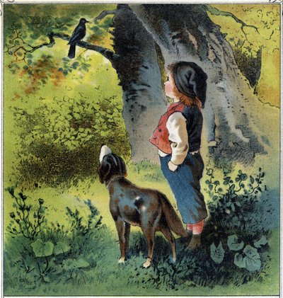 Henri observe un merle sur une branche dans la forêt, revenant à sa vie s