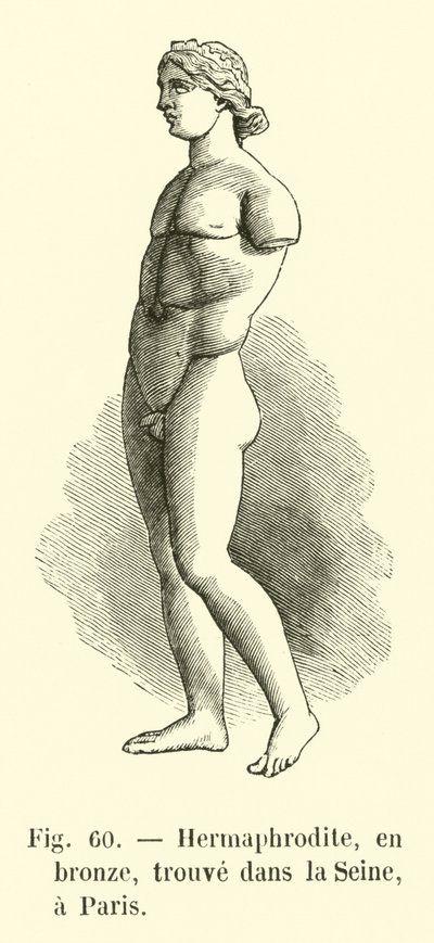 Hermaphrodite, en bronze, trouve dans la Seine, a Paris (engraving) - French School