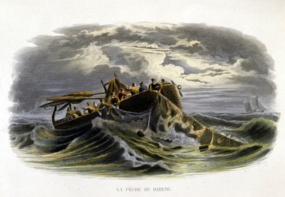 Pêche au hareng - dans «Histoire naturelle de Lacépède» - French School