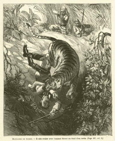 Histoires De Tigres - French School