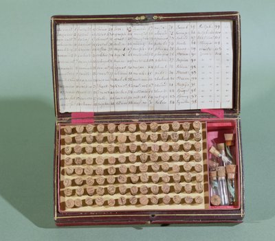 Valise de médecine homéopathique, 2e moitié du 19e siècle - French School