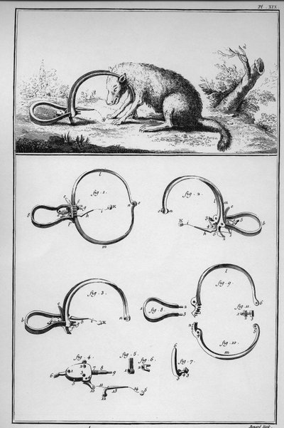 Chasse - renard attrapé au traquenard (piège) - La Grande Encyclopédie, ou Dictionnaire Raisonné des Sciences, des Arts et des Métiers (Encyclopédie ou Dictionnaire des Sciences, Arts et Métiers) par Denis Diderot (1713-1784) et Jean d