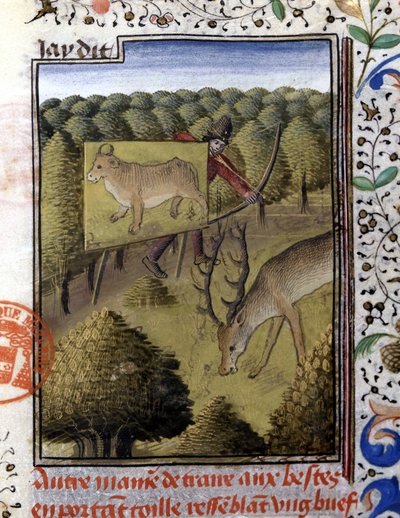 Chasse au cerf avec un leurre - dans "Livre de chasse de Gaston Phoebus, Comte de Foix, Seigneur de Béarn" - French School