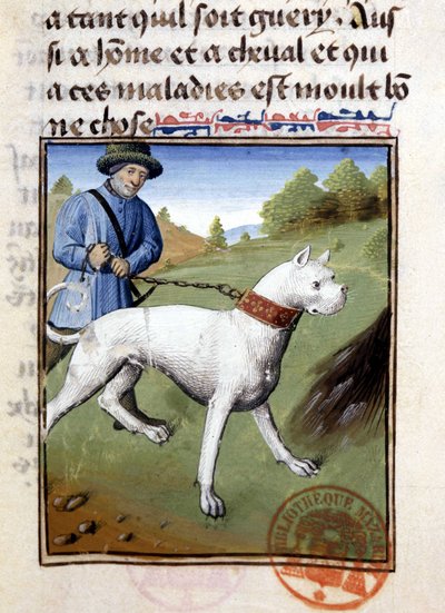 Chien de chasse tenu en laisse - dans "Livre de chasse de Gaston Phoebus, Comte de Foix, Seigneur de Béarn" - French School
