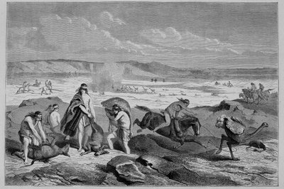 Chasse au guanaco (lama sauvage) et nandou (ou autruche patagonienne) en Argentine - dans "Tour du Monde", 2e semaine 1861 - French School