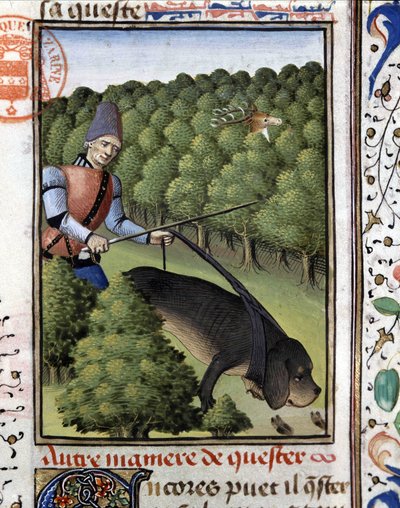 Scène de chasse : un chien flairant le cerf - dans "Le Livre de chasse de Gaston Phoebus, Comte de Foix, Seigneur de Béarn" - French School