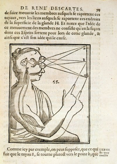 Illustration de De Homine Figuris par René Descartes (1596-1650) publiée à La Haye, 1662 - French School