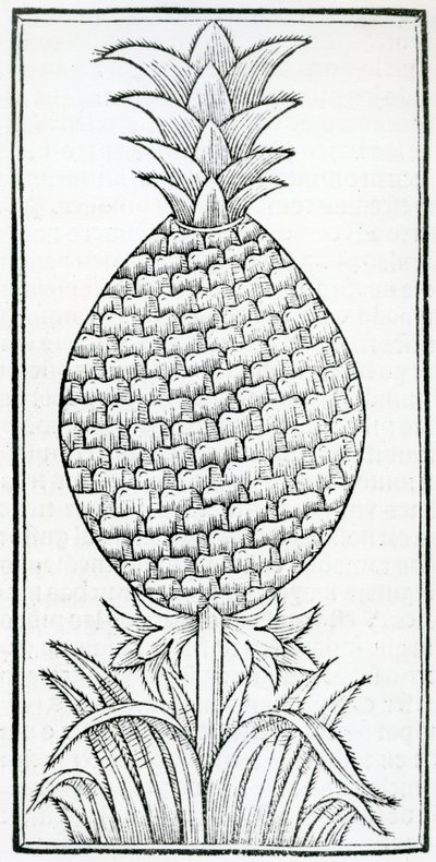 Illustration de 