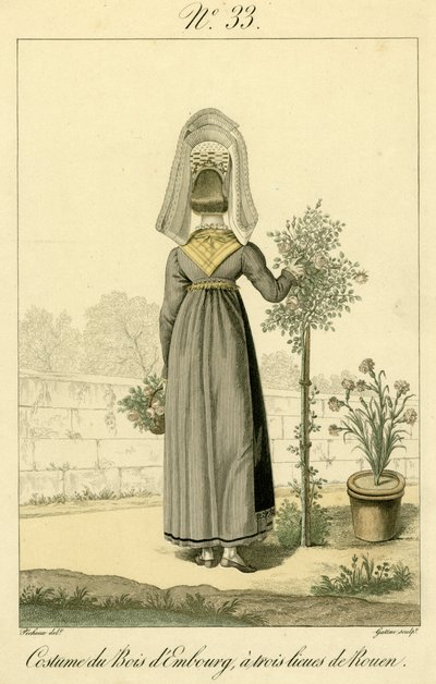Illustration n° 33, Costume de Bois d