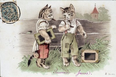 Illustration de chats en situation - carte postale début 20ème siècle - French School