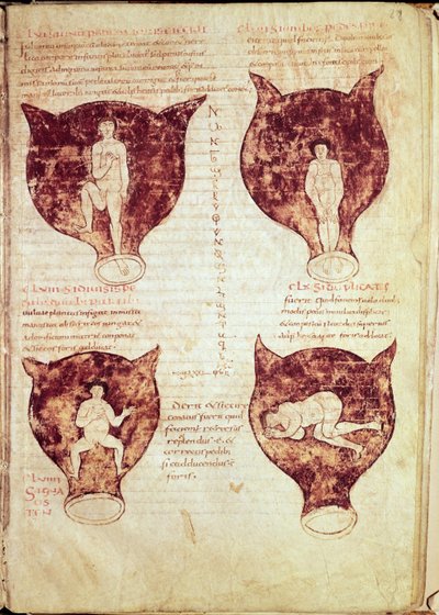 Illustrations du fœtus, du manuscrit dit Rhodion - French School