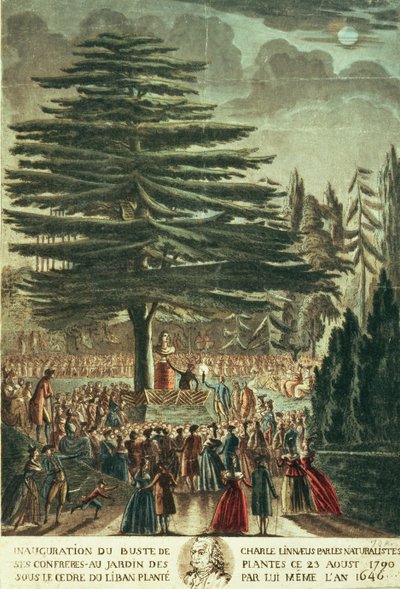 Inauguration du buste de Carl Linné (1707-78) au Jardin des Plantes, sous le Cèdre du Liban qu