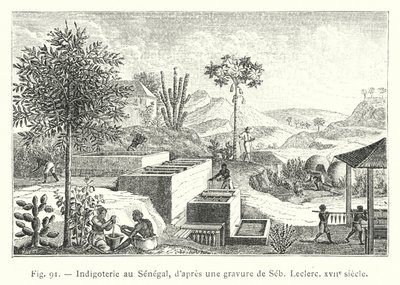 Indigoterie au Sénégal, d