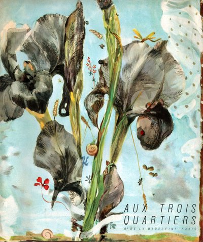 Iris (fleur). (Illustration, vers 1920) - French School